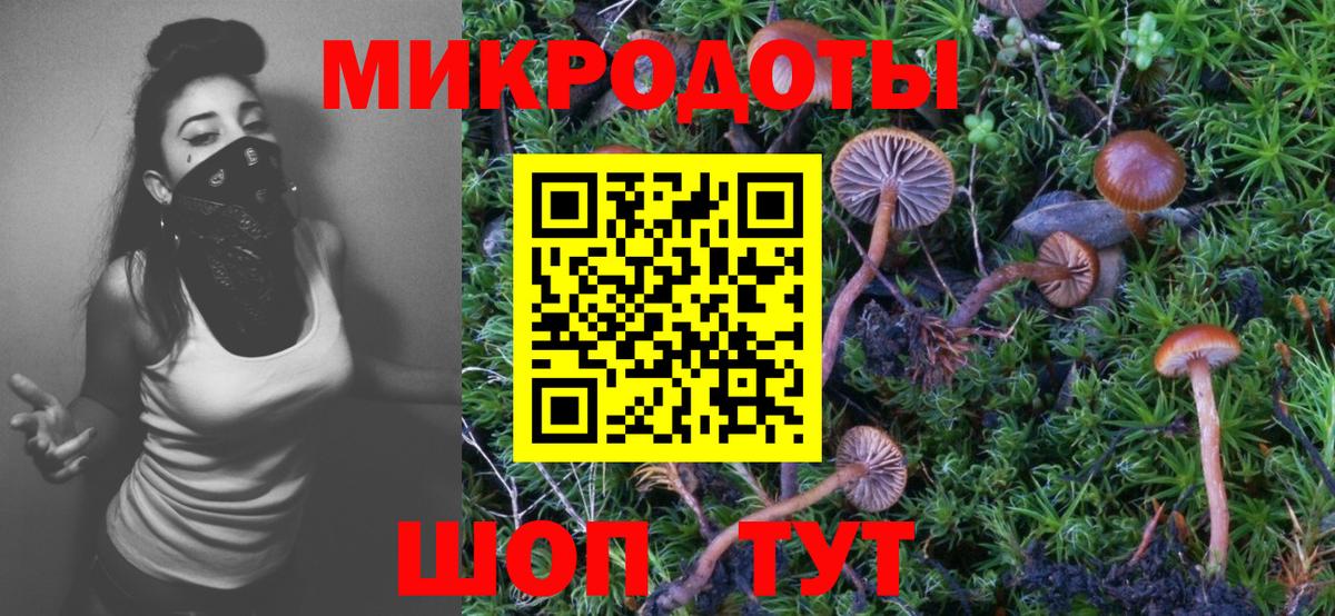 Тосно  Галлюциногенные грибы MAGIC MUSHROOMS  Галлюциногенные грибы прущие грибы  Вход с VPN 
