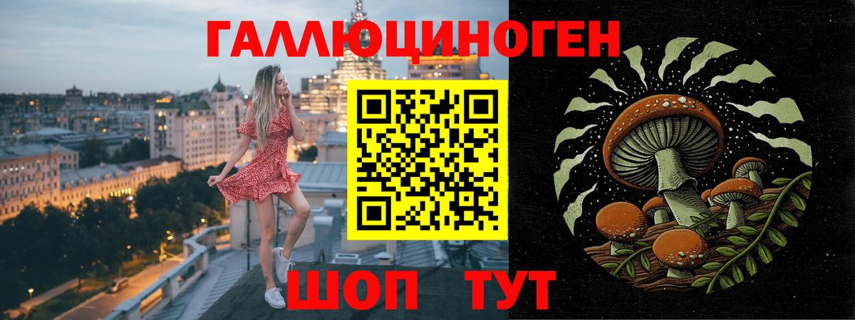 Галлюциногенные грибы Cubensis Тосно